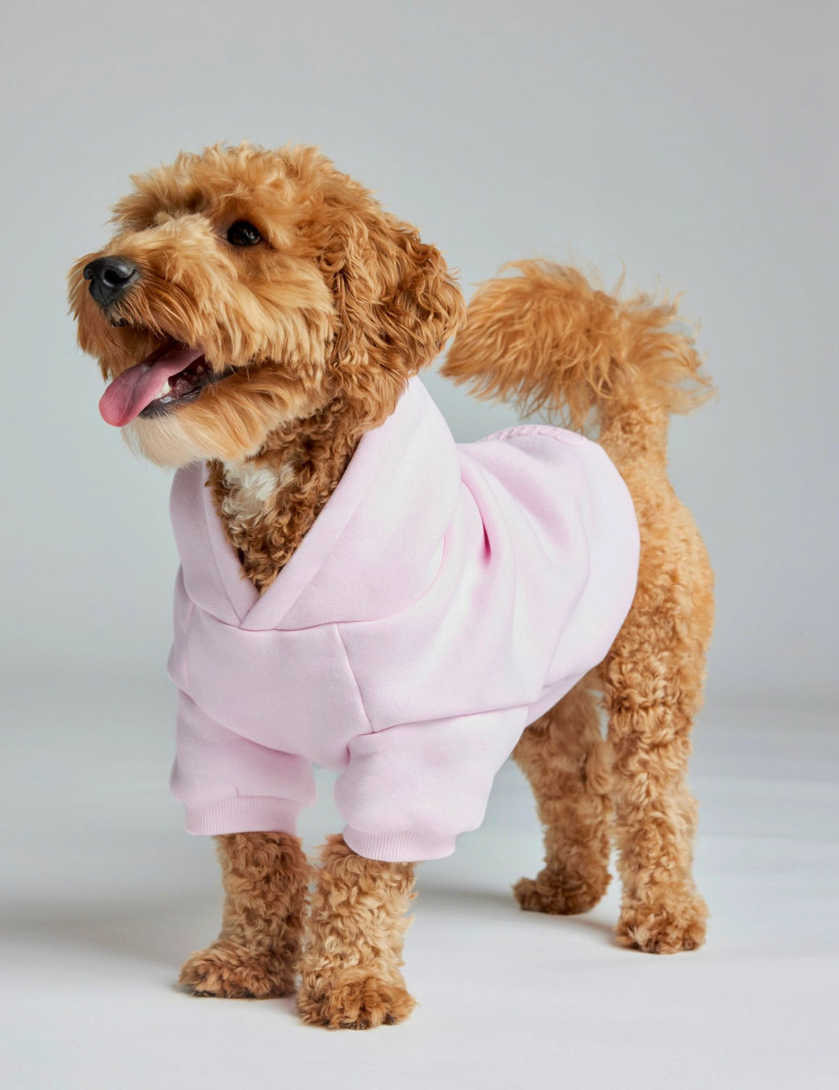 Minimalist Paw Hoodie