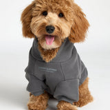 You Matter Paw Hoodie