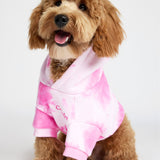 Minimalist Paw Hoodie - Pre-Order