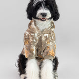 Camo Paw Hoodie - Pre-Order