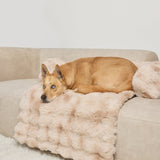 Dream Cloud Pet Sofa Bed - Pre Order