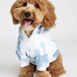 Minimalist Paw Hoodie - Pre-Order
