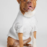 Minimalist Paw Hoodie