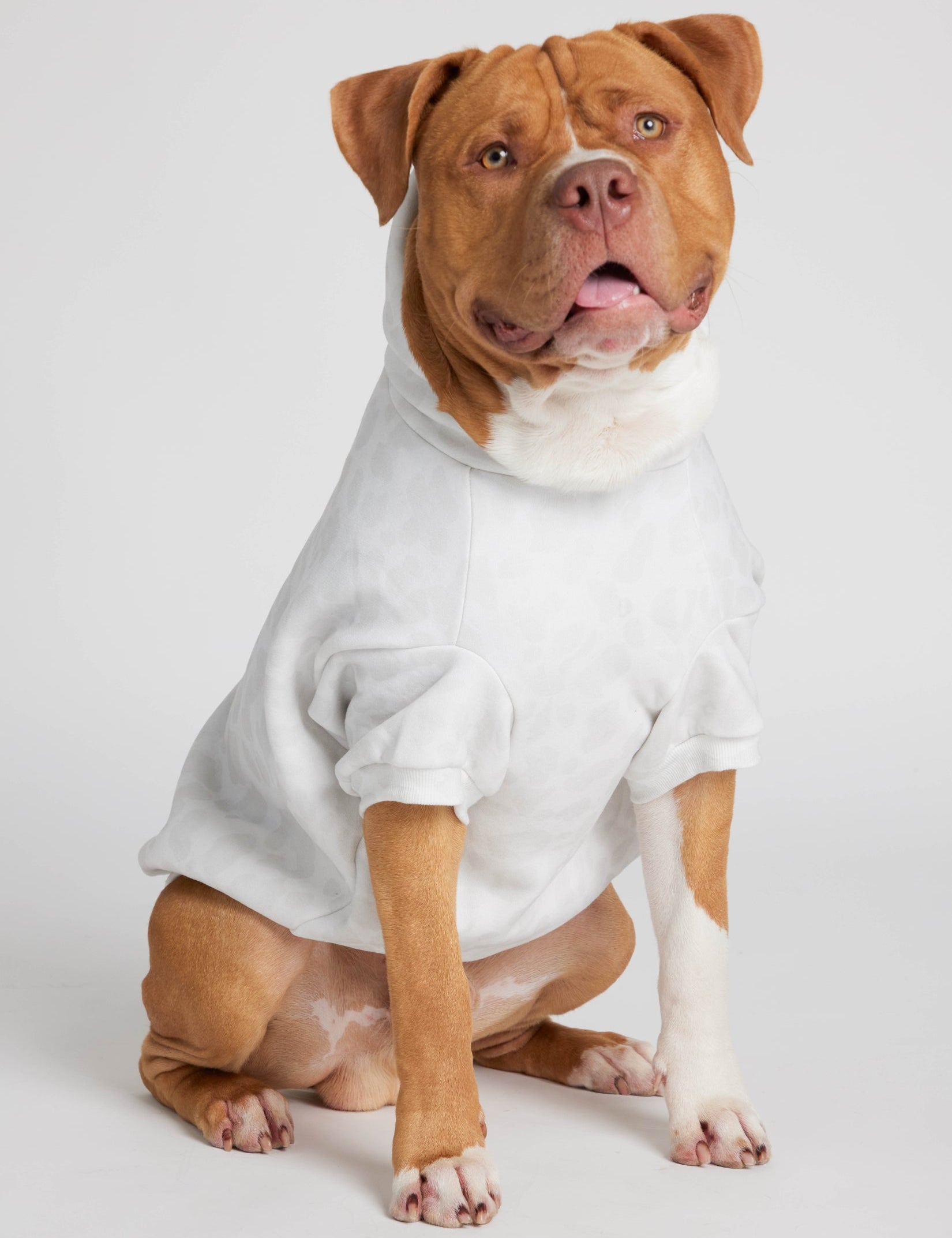 Minimalist Paw Hoodie