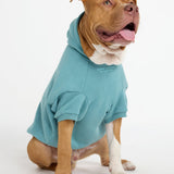 You Matter Paw Hoodie