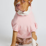 Pastel Paw Hoodie - Pre Order