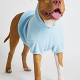 Pastel Paw Hoodie