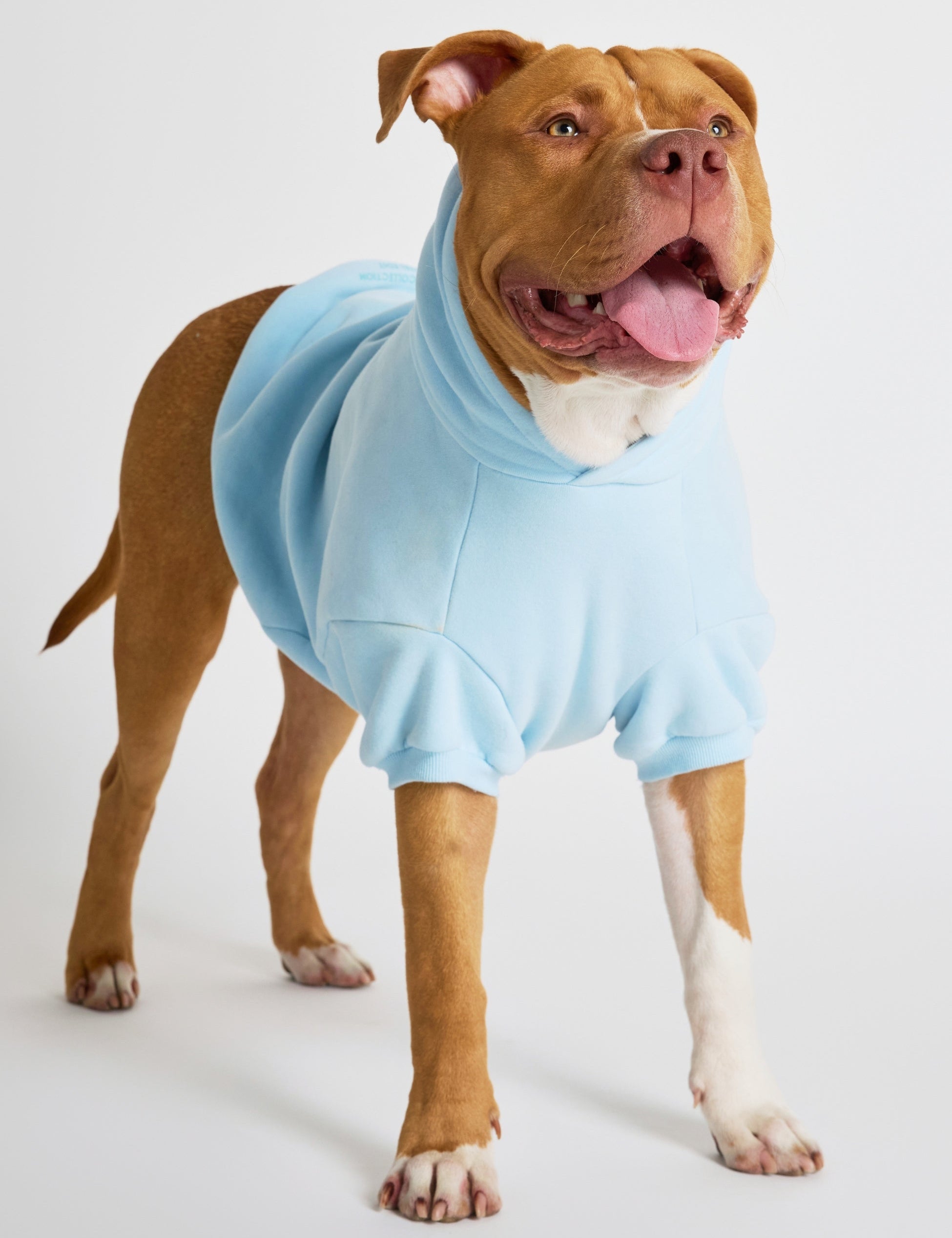 Pastel Paw Hoodie