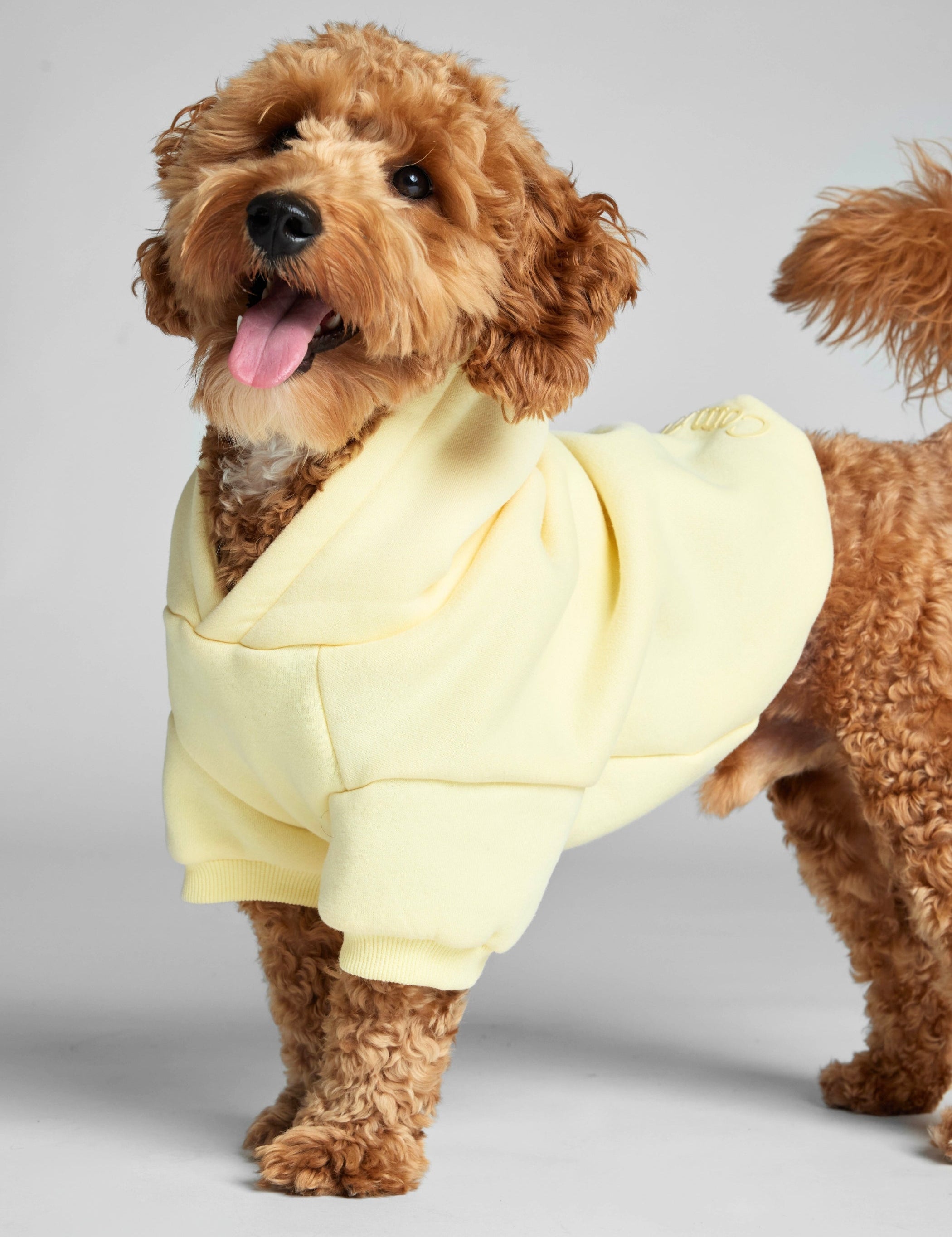 Minimalist Paw Hoodie