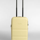 Carry-On Companion Luggage