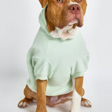 Pastel Paw Hoodie