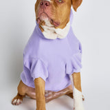 Pastel Paw Hoodie - Pre Order