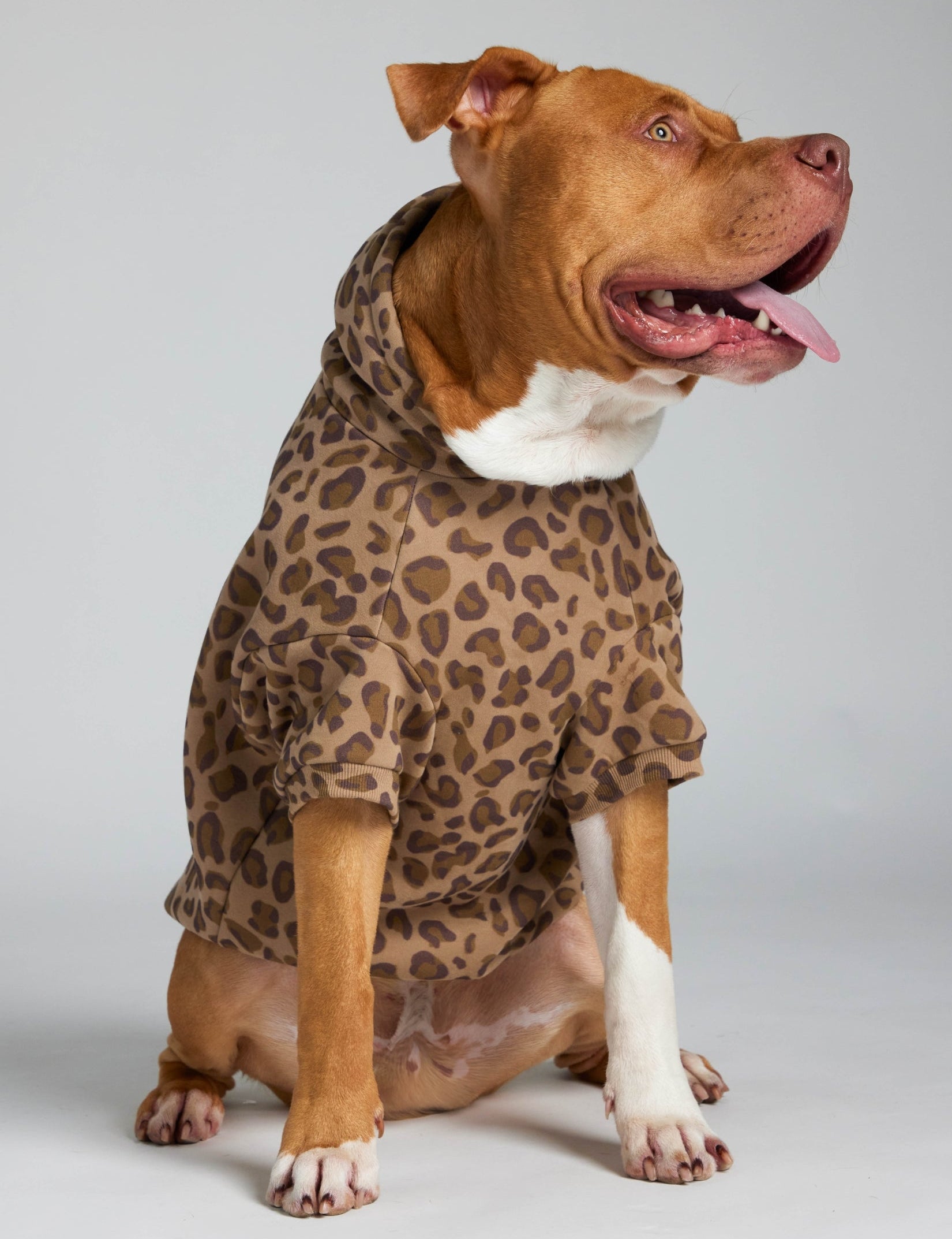 Minimalist Paw Hoodie - Pre-Order