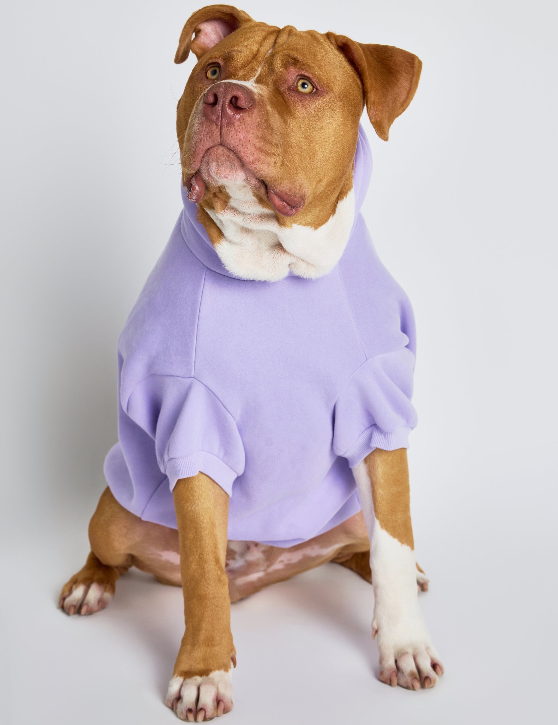 Pastel Paw Hoodie