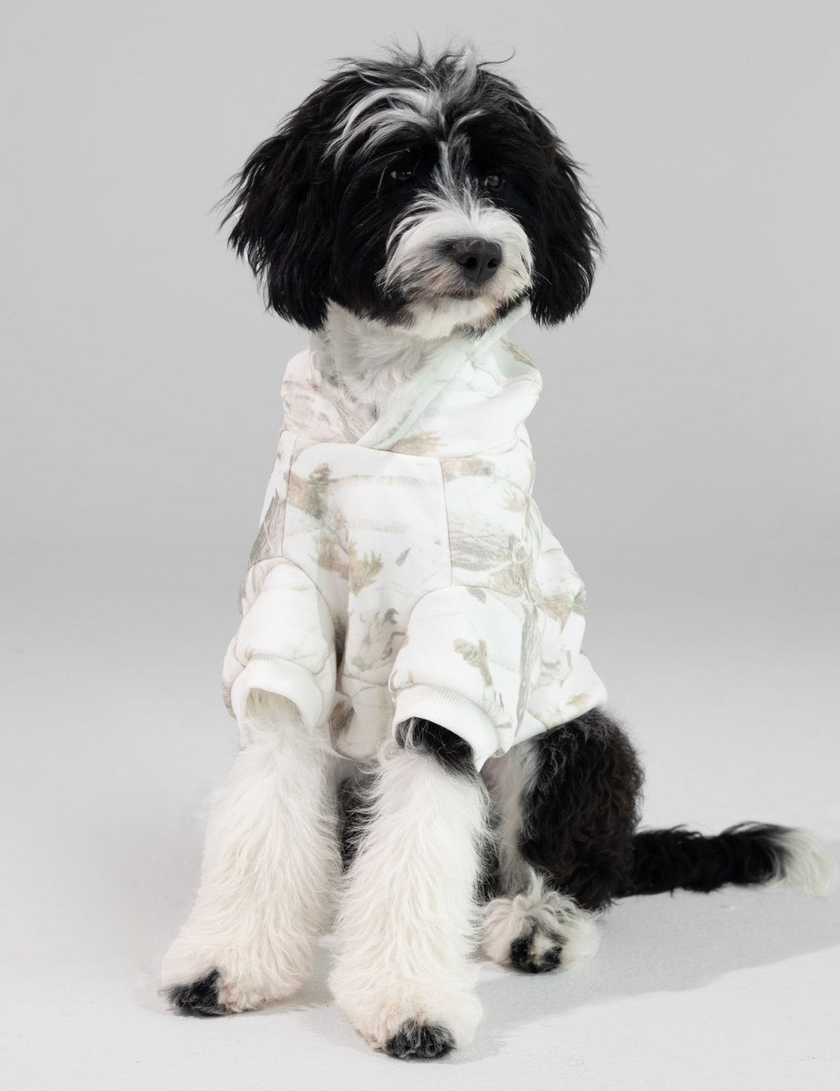 Camo Paw Hoodie - Pre-Order