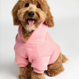 You Matter Paw Hoodie