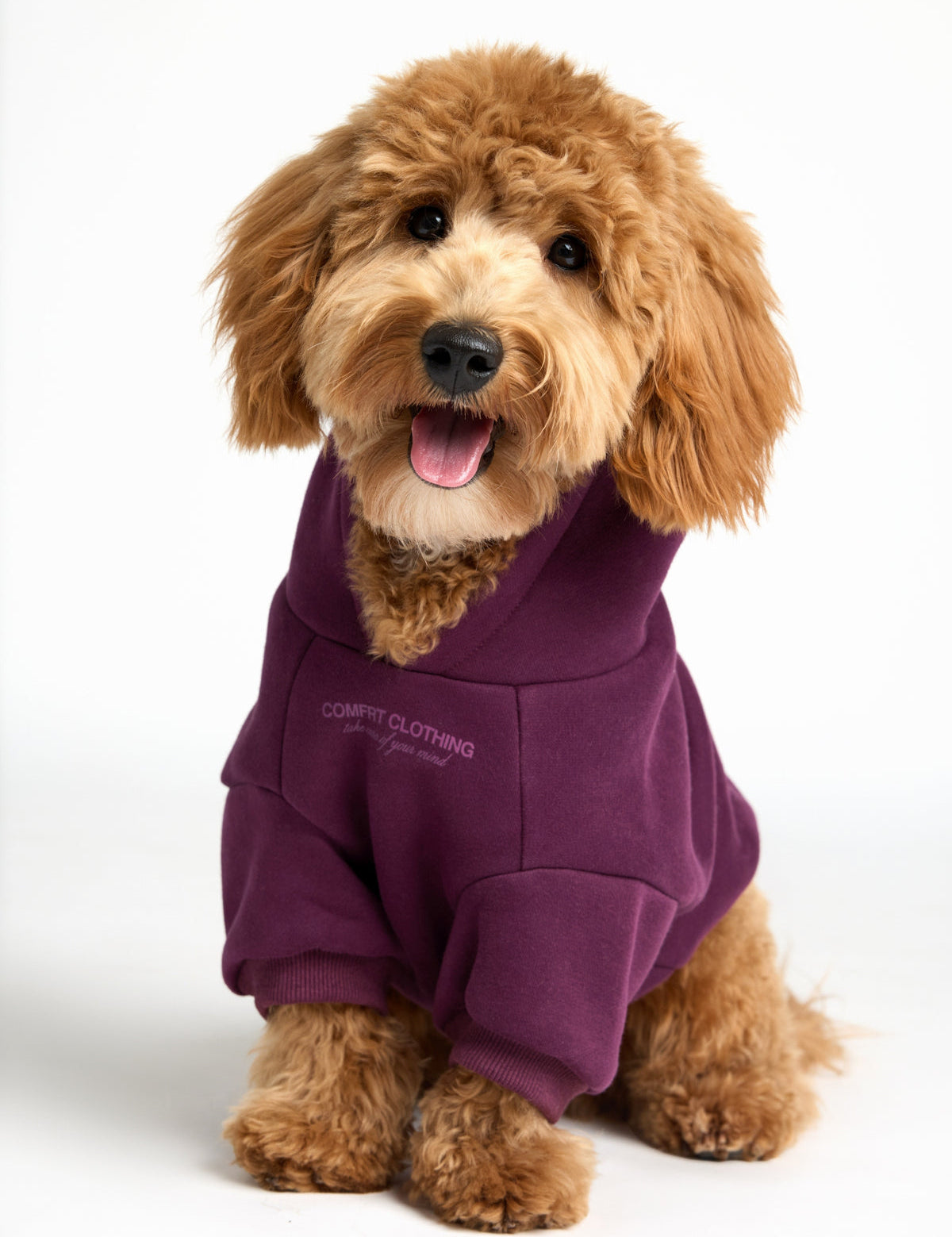 You Matter Paw Hoodie