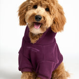 You Matter Paw Hoodie
