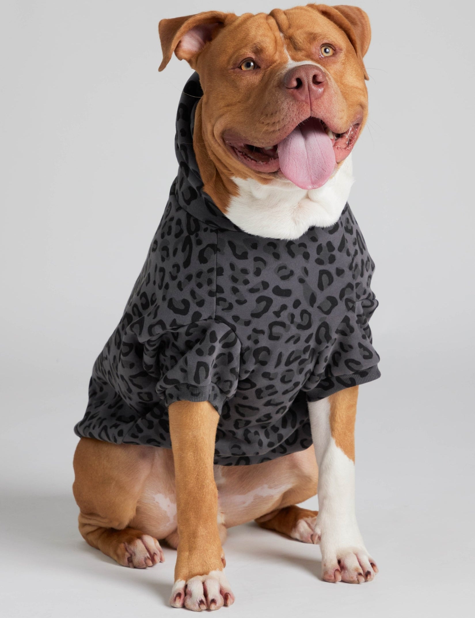 Minimalist Paw Hoodie