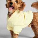Minimalist Paw Hoodie - Pre-Order