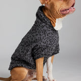 Minimalist Paw Hoodie - Pre-Order