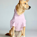 Minimalist Paw Hoodie