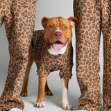 Minimalist Paw Hoodie