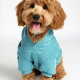 You Matter Paw Hoodie