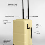 Carry-On Companion Luggage