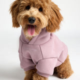 You Matter Paw Hoodie