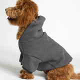 You Matter Paw Hoodie