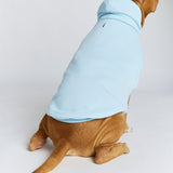 Pastel Paw Hoodie - Pre Order