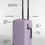 Carry-On Companion Luggage