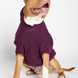You Matter Paw Hoodie