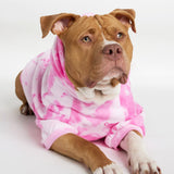 Minimalist Paw Hoodie - Pre-Order