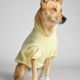 Minimalist Paw Hoodie