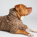 Minimalist Paw Hoodie