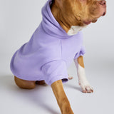 Pastel Paw Hoodie