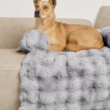 Dream Cloud Pet Sofa Bed