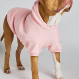 Pastel Paw Hoodie