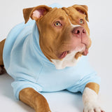 Pastel Paw Hoodie - Pre Order