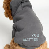 You Matter Paw Hoodie