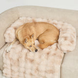 Dream Cloud Pet Sofa Bed - Pre Order