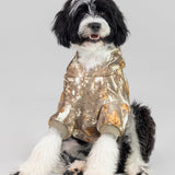 Camo Paw Hoodie