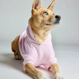 Minimalist Paw Hoodie