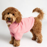 You Matter Paw Hoodie