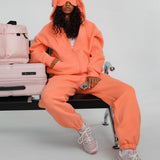 Airplane Mode Travel Zip Hoodie