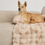 Dream Cloud Pet Sofa Bed - Pre Order