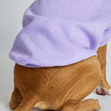 Pastel Paw Hoodie