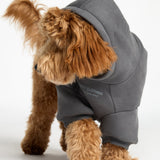 You Matter Paw Hoodie